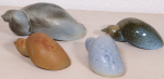 Wasserschnecken